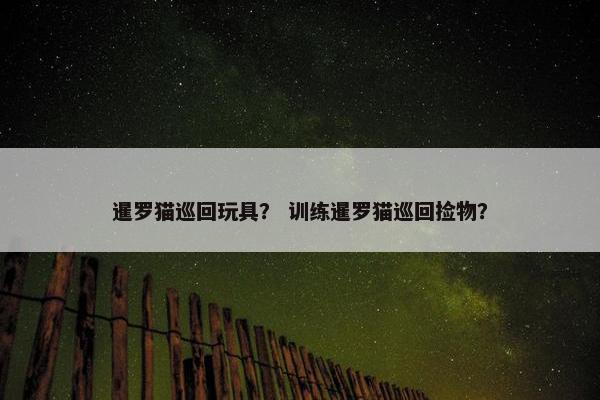 暹罗猫巡回玩具？ 训练暹罗猫巡回捡物？