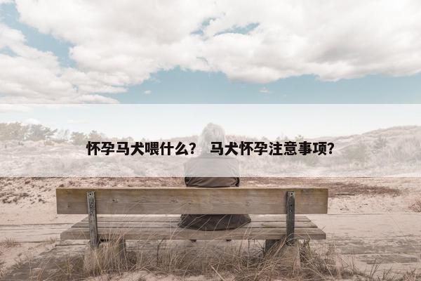 怀孕马犬喂什么？ 马犬怀孕注意事项？