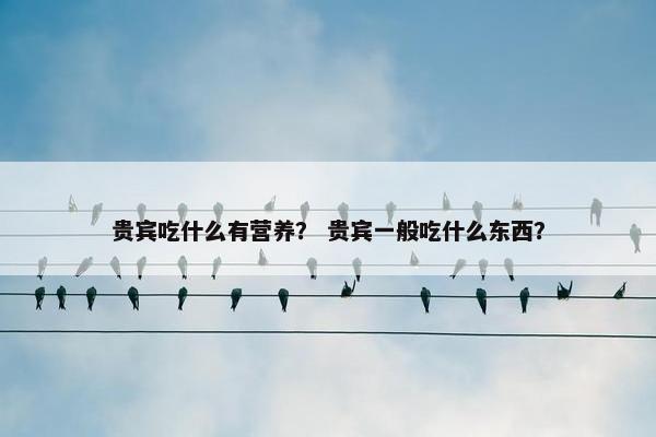 贵宾吃什么有营养？ 贵宾一般吃什么东西？