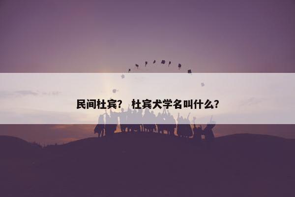 民间杜宾? 杜宾犬学名叫什么? 民间杜宾? 杜宾犬学名叫什么?