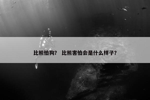 比熊怕狗？ 比熊害怕会是什么样子？