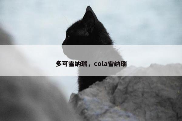 多可雪纳瑞，cola雪纳瑞