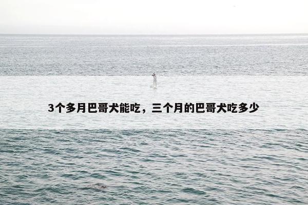 3个多月巴哥犬能吃，三个月的巴哥犬吃多少