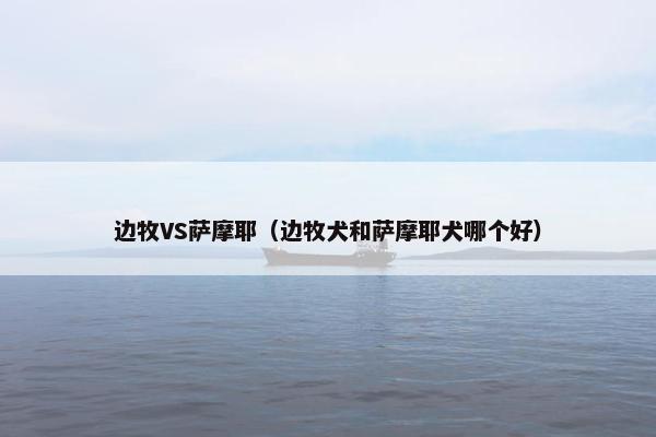 边牧VS萨摩耶（边牧犬和萨摩耶犬哪个好）
