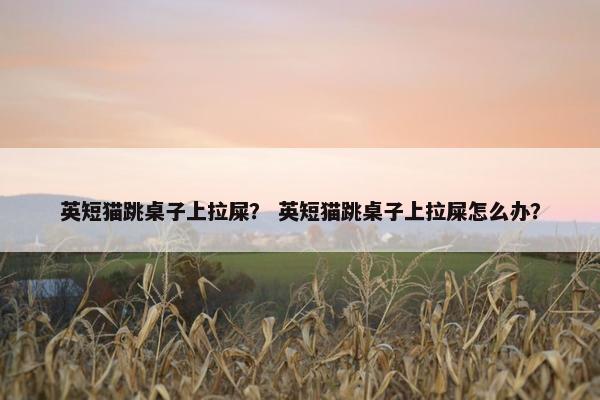 英短猫跳桌子上拉屎？ 英短猫跳桌子上拉屎怎么办？