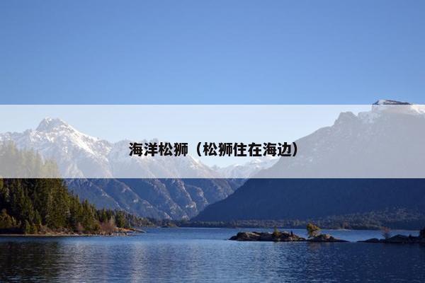 海洋松狮（松狮住在海边）