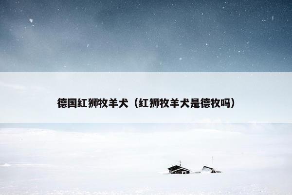 德国红狮牧羊犬（红狮牧羊犬是德牧吗）