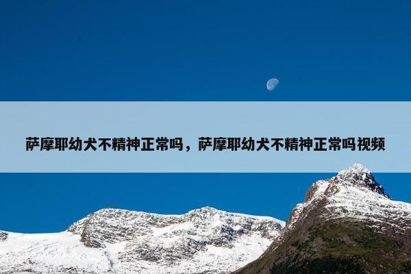 萨摩耶幼犬不精神正常吗，萨摩耶幼犬不精神正常吗视频