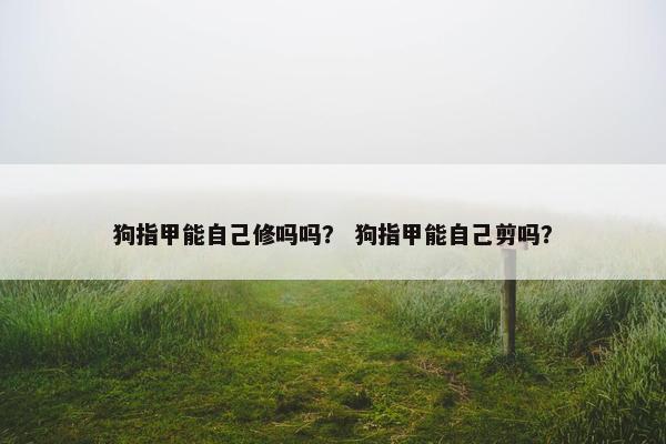 狗指甲能自己修吗吗？ 狗指甲能自己剪吗？