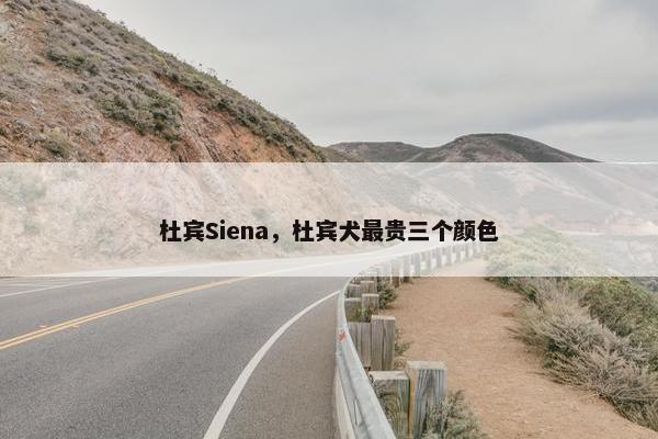杜宾Siena，杜宾犬最贵三个颜色