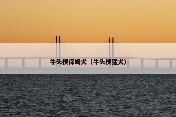 牛头梗保姆犬（牛头梗猛犬）