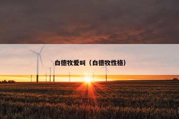 白德牧爱叫（白德牧性格）