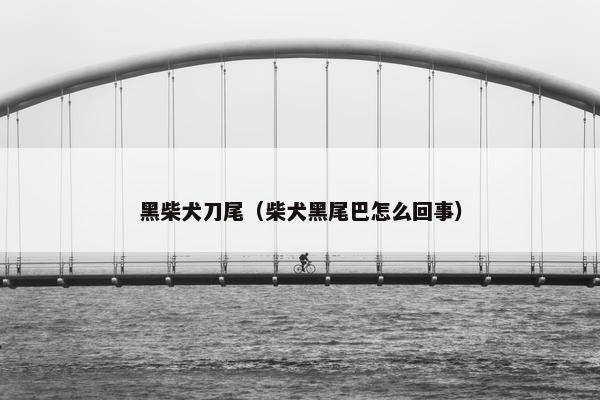 黑柴犬刀尾（柴犬黑尾巴怎么回事）