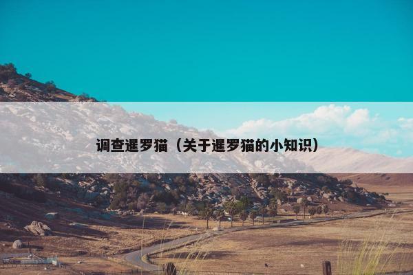 调查暹罗猫(关于暹罗猫的小知识) 调查暹罗猫(关于暹罗猫的小知识)