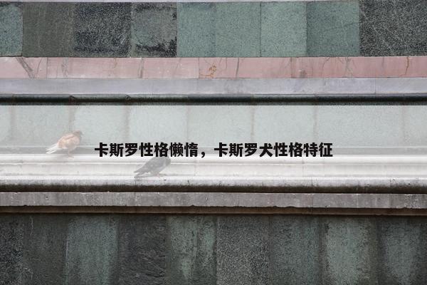 卡斯罗性格懒惰,卡斯罗犬性格特征 卡斯罗性格懒惰,卡斯罗犬性格特征