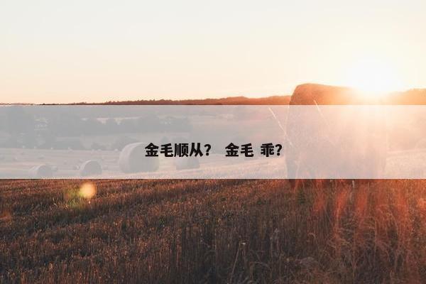 金毛顺从？ 金毛 乖？