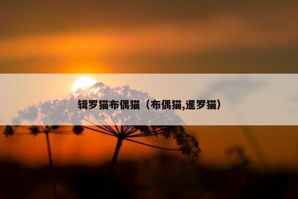 辑罗猫布偶猫（布偶猫,暹罗猫）