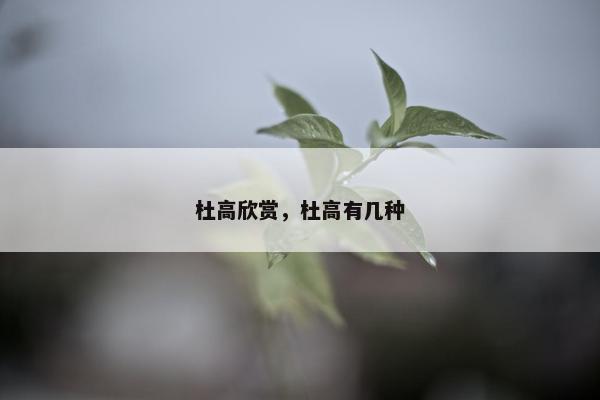 杜高欣赏,杜高有几种 杜高欣赏,杜高有几种