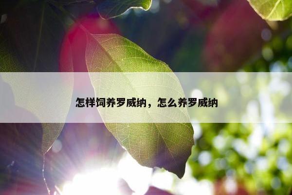 怎样饲养罗威纳，怎么养罗威纳