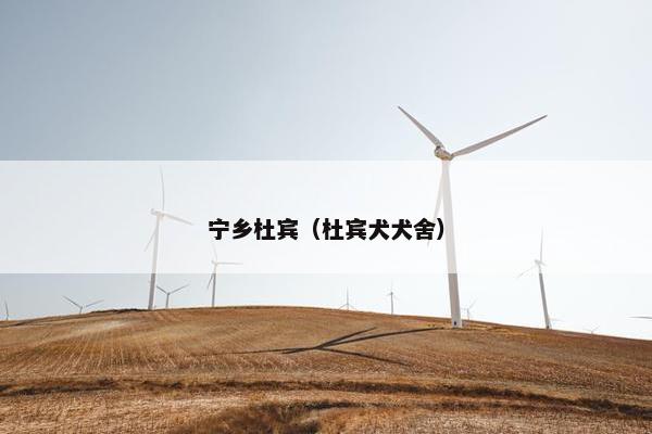 宁乡杜宾（杜宾犬犬舍）