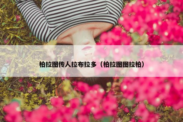 柏拉图传人拉布拉多（柏拉图图拉柏）