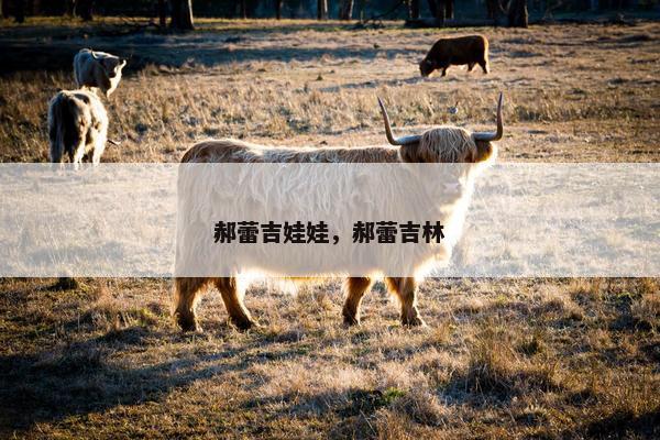 郝蕾吉娃娃，郝蕾吉林