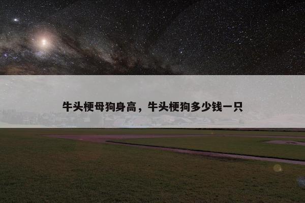 牛头梗母狗身高，牛头梗狗多少钱一只