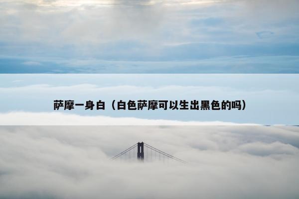 萨摩一身白（白色萨摩可以生出黑色的吗）