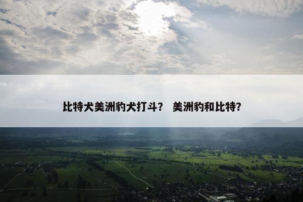 比特犬美洲豹犬打斗？ 美洲豹和比特？