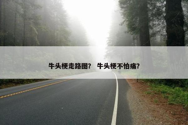 牛头梗走路图？ 牛头梗不怕痛？