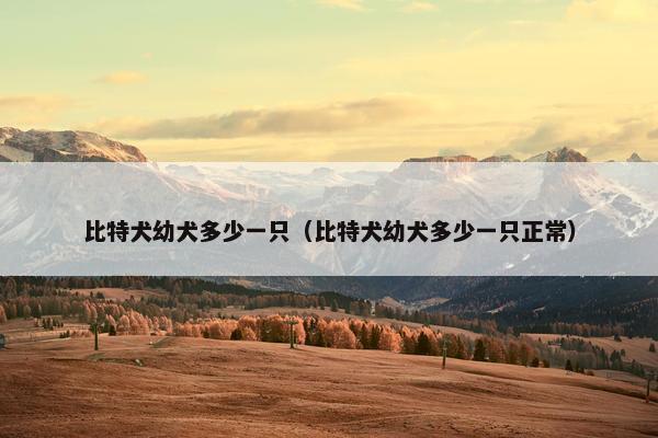 比特犬幼犬多少一只(比特犬幼犬多少一只正常) 比特犬幼犬多少一只(比特犬幼犬多少一只正常)