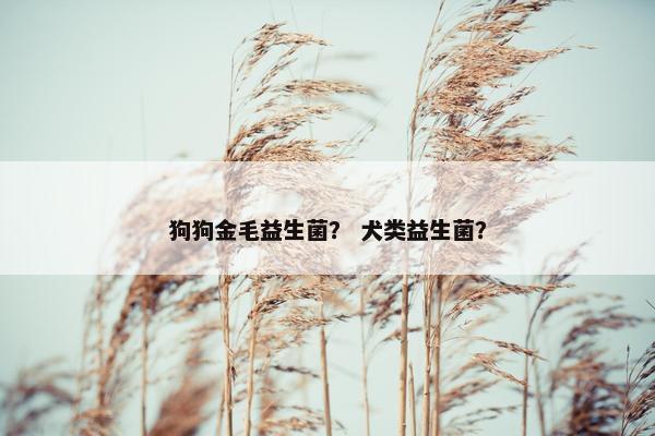 狗狗金毛益生菌？ 犬类益生菌？