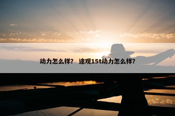 动力怎么样？ 途观15t动力怎么样？