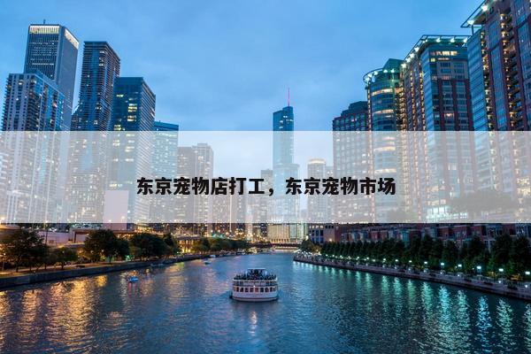 东京宠物店打工，东京宠物市场