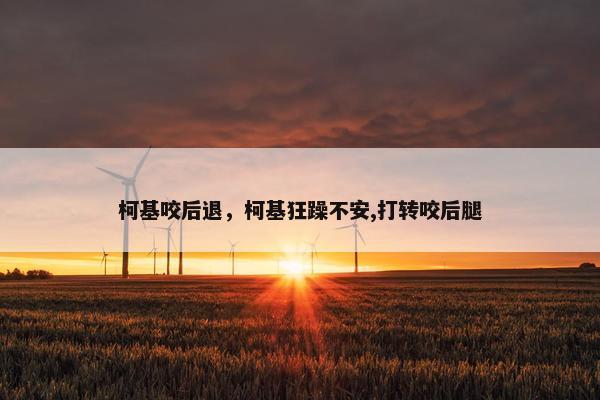 柯基咬后退，柯基狂躁不安,打转咬后腿