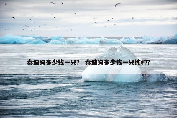 泰迪狗多少钱一只？ 泰迪狗多少钱一只纯种？