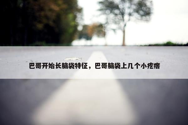 巴哥开始长脑袋特征，巴哥脑袋上几个小疙瘩