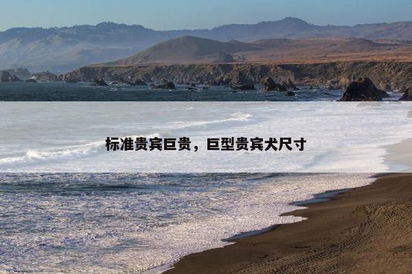 标准贵宾巨贵，巨型贵宾犬尺寸