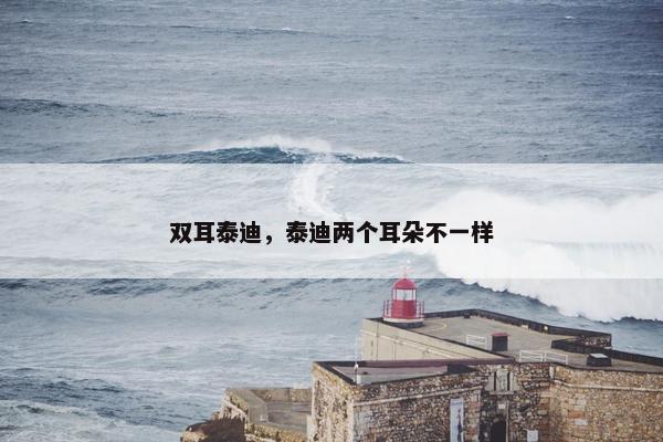 双耳泰迪，泰迪两个耳朵不一样