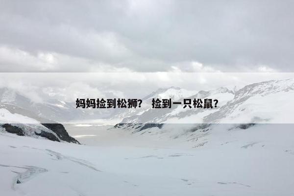 妈妈捡到松狮？ 捡到一只松鼠？